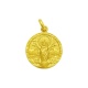 Medalla Virgen del Pilar de oro amarillo de 18 Kt con orla