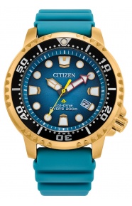 Citizen Diver’s Eco Drive - 20 ATM, correa de caucho
