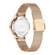 Citizen Lady Dress ∅31 mm - 10 ATM, Esfera blanca, brazalete de acero mesh