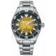 Citizen Diver’s Automatic - 20 ATM, brazalete de acero extensible