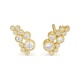 Pendientes de oro amarillo de 18 Kt con diamantes de 0,50 ct